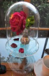 Glass cloche over a real red rose from my garden that happened to drop petals during the party
