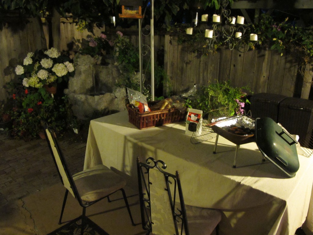 outer patio with waterfall & Brownie Briquettes