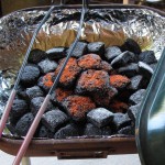Brownie Briquettes Closeup