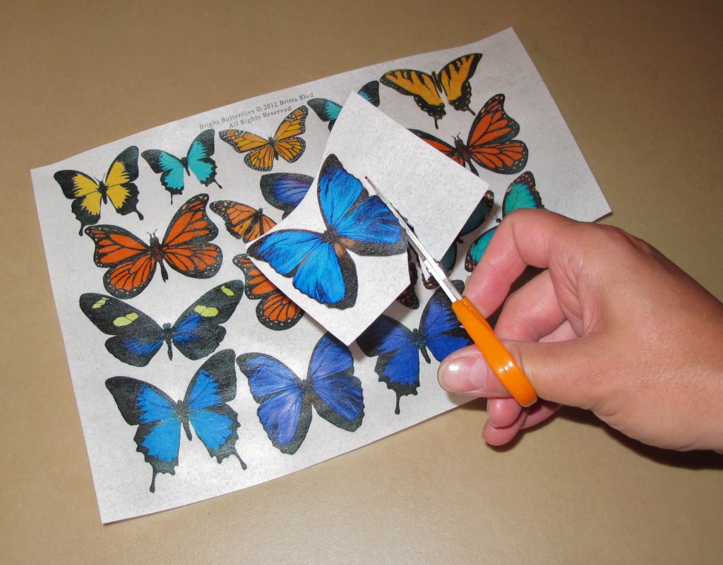 Cutting Out Butterflies