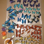 Butterflies05