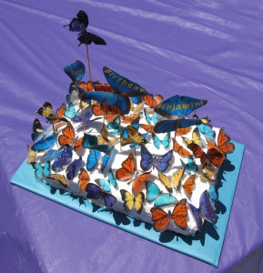 Bright Butterflies Completed Cake