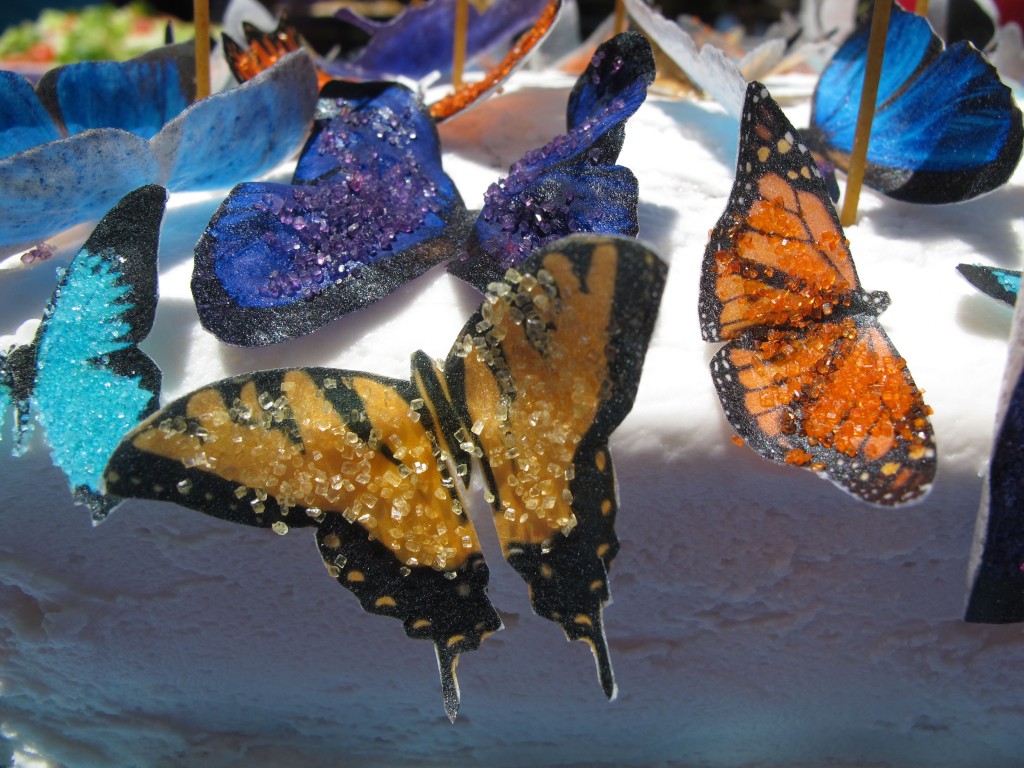 Butterflies11