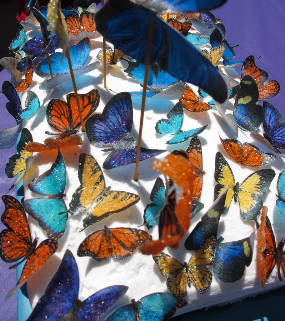 Butterflies12