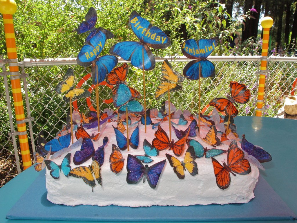 Butterflies16