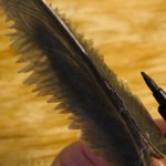 Quill Seam Touch-Up