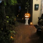 The Pumpkin Patch by the Porch