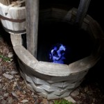 The Watery Wraith in the Well by Cat