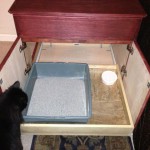 Onyx inspecting the new cabinet