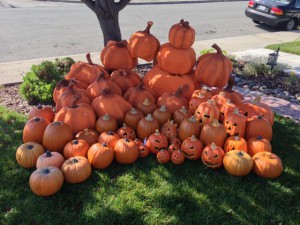 Pile o' Pumpkins!