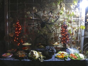 Giant web & spider over the backyard food table