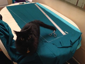 Ebony is always helpful with large swaths of fabric!