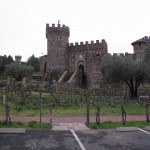 Castle and vineyard from the parking lot