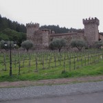 Castle and vineyard from the front