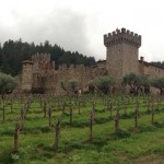 Castle and vineyard from the front
