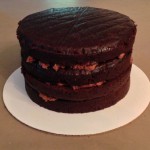 4 layers of chocolatey goodness!