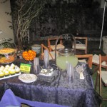 Backyard Food Table - by Tash