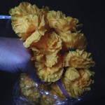 One of 12 marigold garlands from Amazon for free points...woohoo!