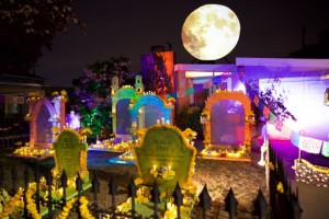 Glowing Graveyard