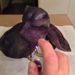 Purple food coloring spray gives unfrosted baked dough a velvety fabric texture