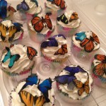 Melted Butterflies