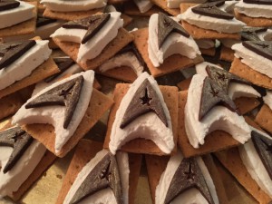 Closeup of S'more Trek