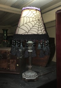 Fabulous fringe added to the tiny web lampshade above the patio fridge