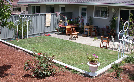 Backyard and Patio