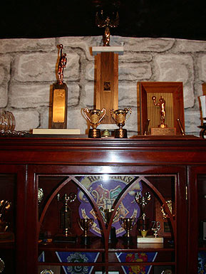 Trophy Case 1